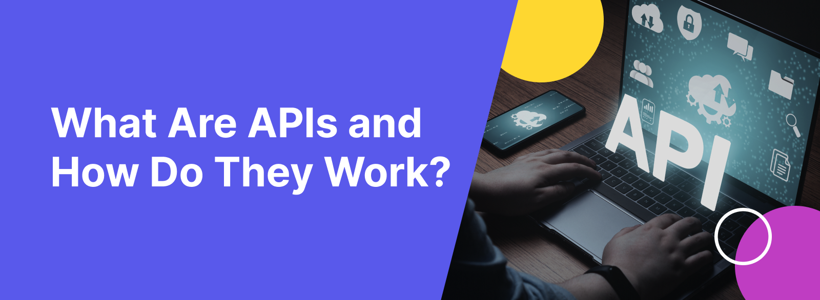 API Examples banner