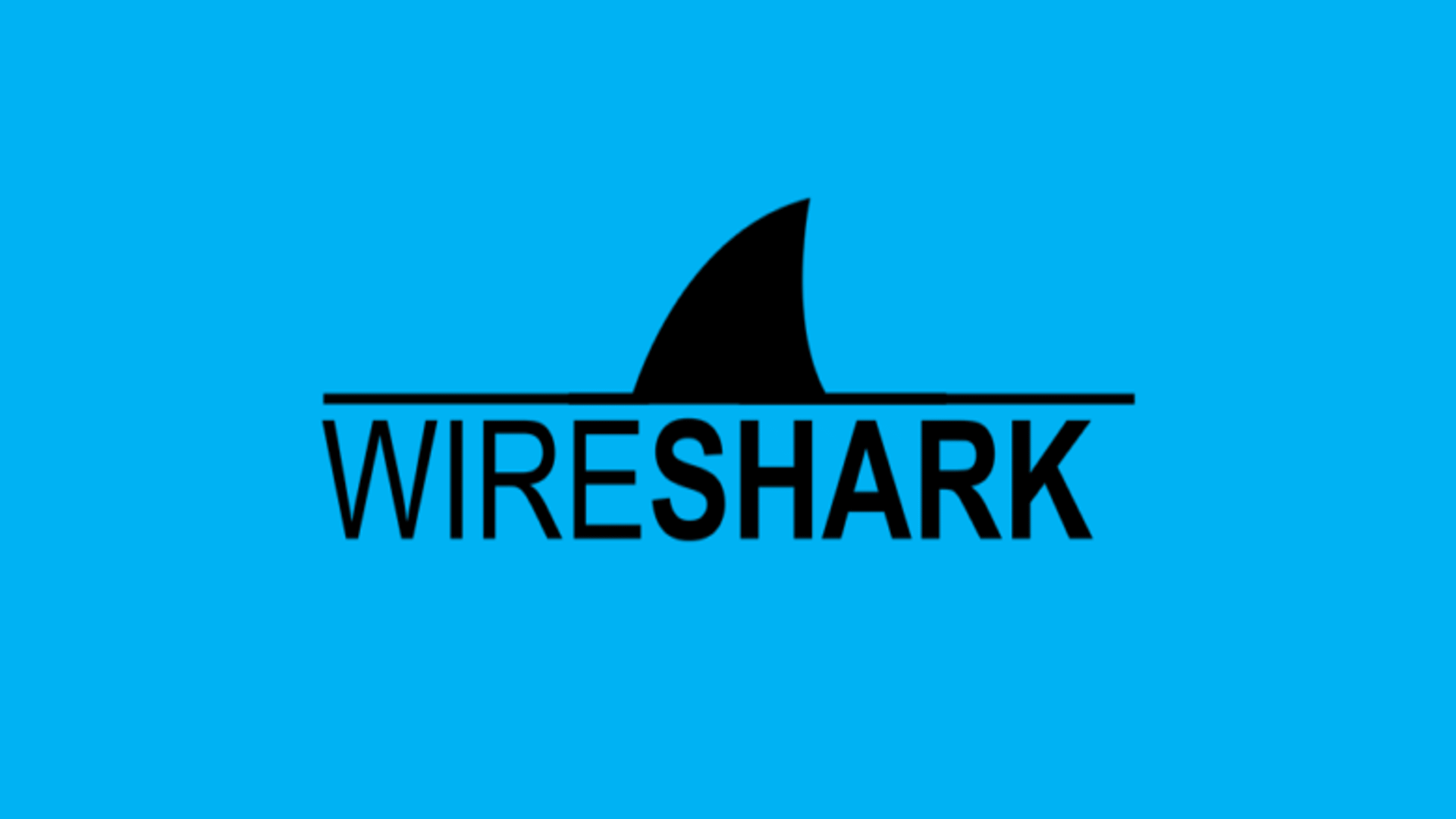 WireShark popular penetration testing tool